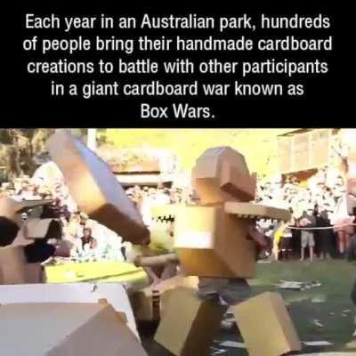 Box fighting in Australia