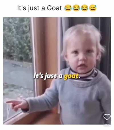 No, it's not just a goat 🤣🤣🤣🤣