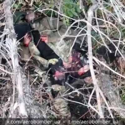 Ukrainian Drone minces up Russian Soldier like ground beef 