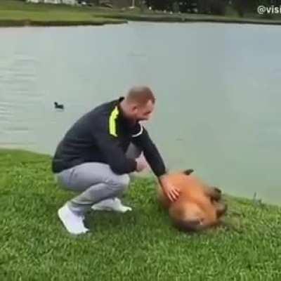 Capybara made his day