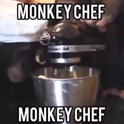 he does cook pretty good for a monke chef