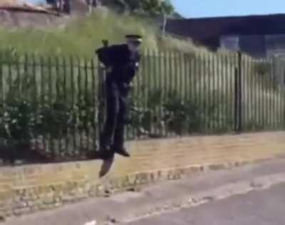 WCGW tying to jump over a fence?