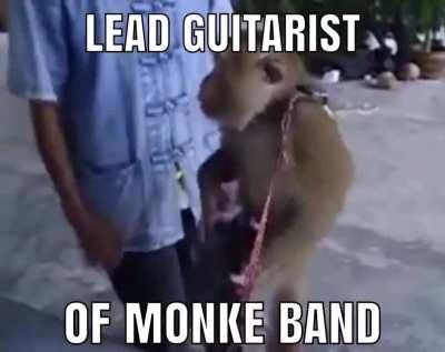 Monke Band now has guters 🐵