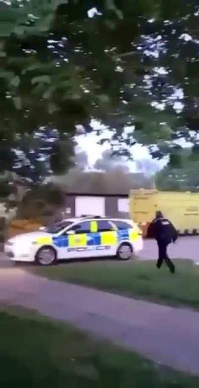 Pig gets put to sleep ACAB