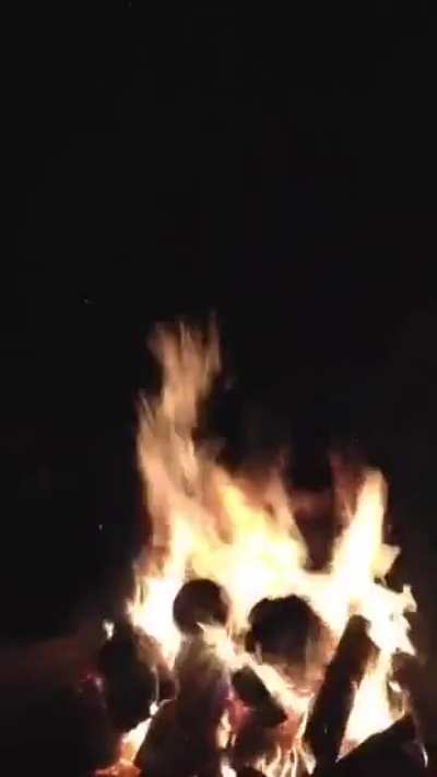 Bonfire> drunk college students