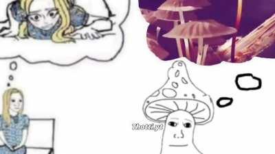 Shroomjak rule