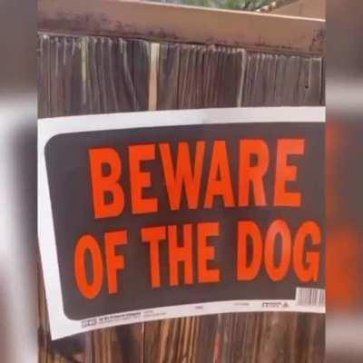 Beware of the dog