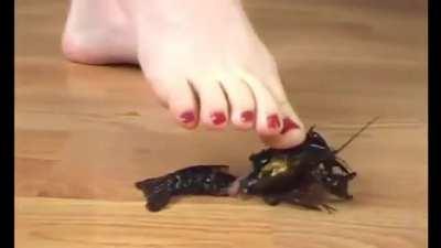 Female feet vs crawdads 