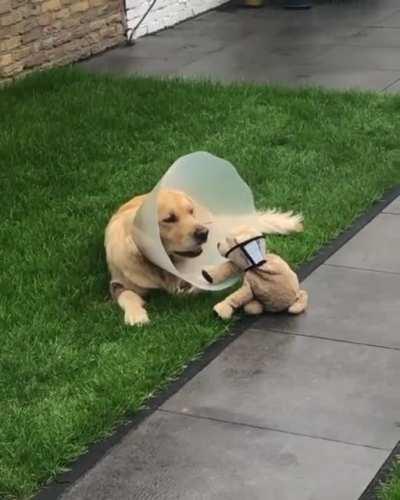 Cone buddies!