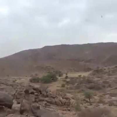 Yemeni National Army and Tribal Forces recapture strategic key Points from Houthi Militia in Al Jubah and Kassarah [WEST-Marib] [29.10 2021]