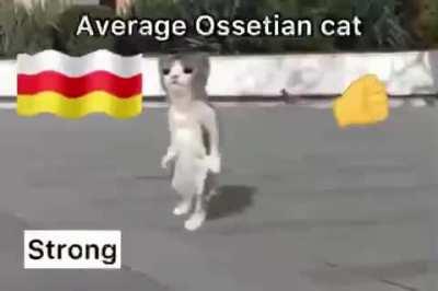 OSSETIA STRONG