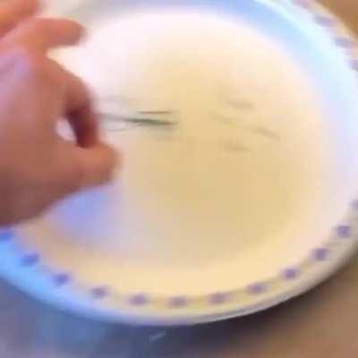 Plate warrior