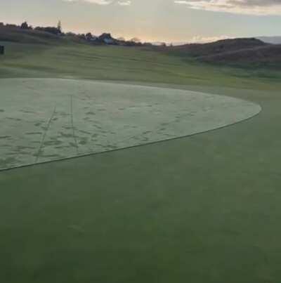 Getting the dew off the green