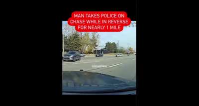 Man driving a stolen vehicle leads police on wild car chase while driving in reverse (Dearborn, MI)