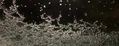 Ice crystals forming on a window.