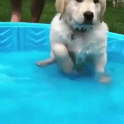 Splish-Splash