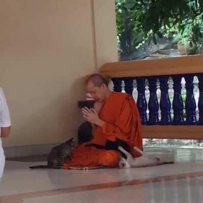 Thai Buddhist monk: I .....will.....keep..... praying....