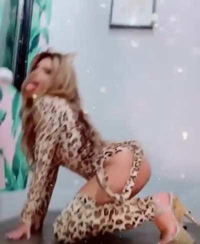 🐆