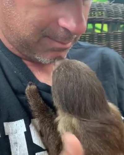 Baby sloth showing some love