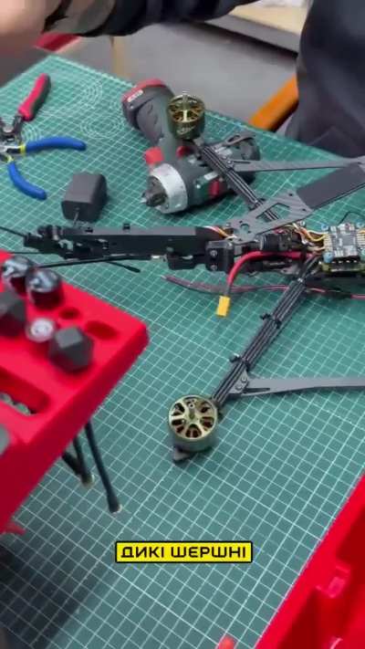 Insights into the production of Wild Hornets drones