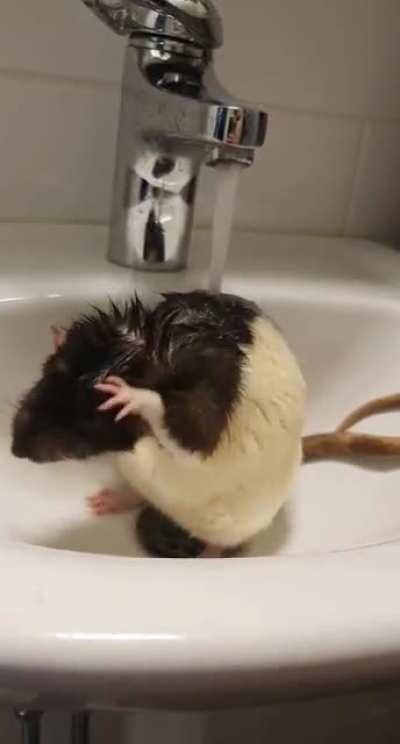 Don't mind me, just taking a lil shower