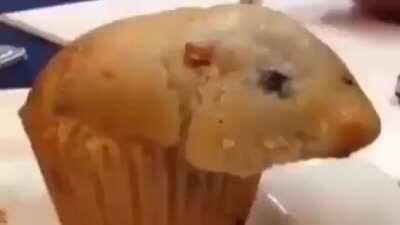 That muffin is looking awfully like a hamster.