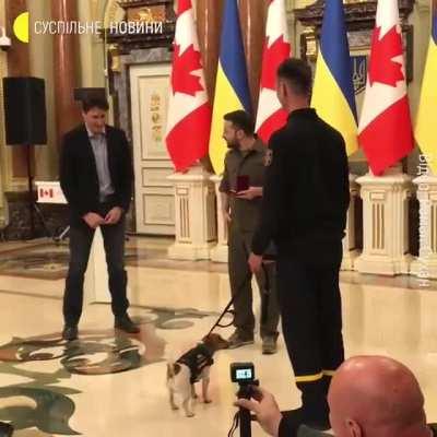 Video of Patron getting his award (and a treat!)