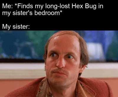 Why's the hex bug wet?