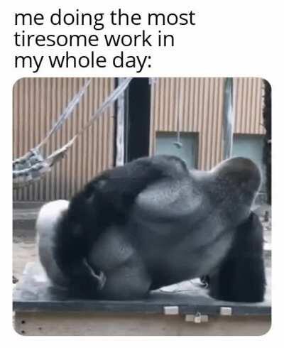 Thicc monke cheeks