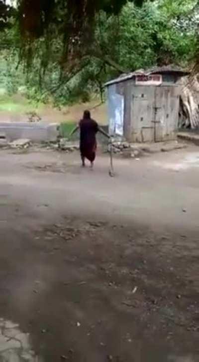 Indian granny drags cobra out of the village and tosses into the local river