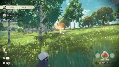 New short gameplay video from Pokemon Japan. It looks so much better! The trees, shadows, ambience.