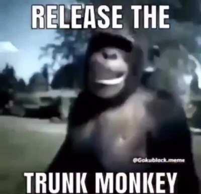 trunk monke