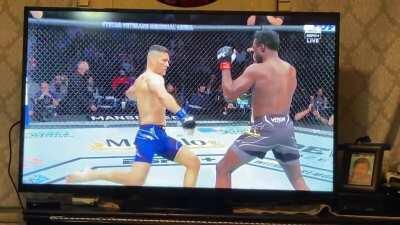 Ufc 261