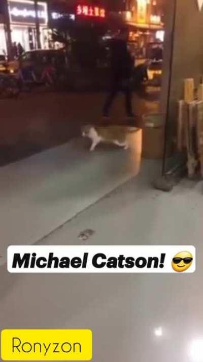 Michael catson -( ronyzon)