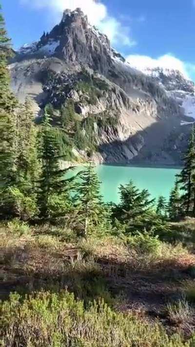 🔥Opening the door to wilderness