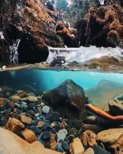 Crystal clear water in an Alaskan lake