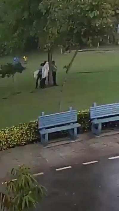 A group of people under a tree get struck by lightning.