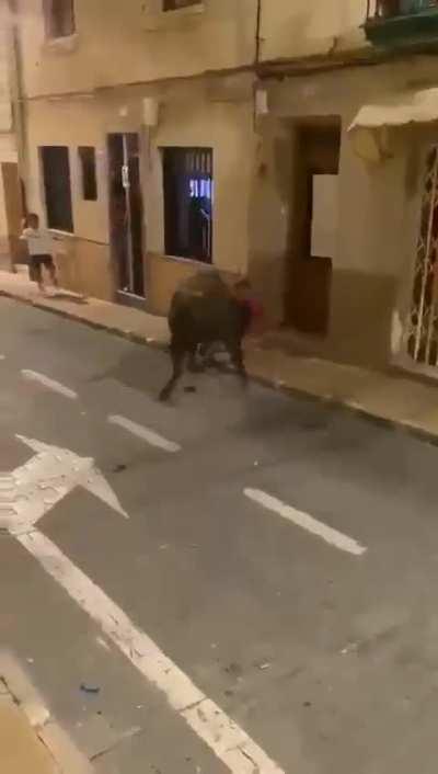 to evade a bull