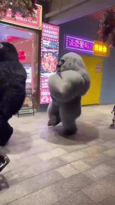 The moves in a gorilla costume.