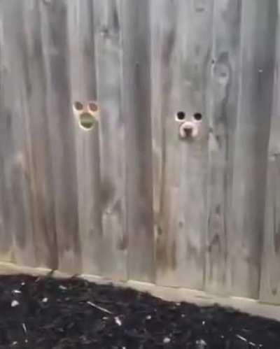 They’re watching you