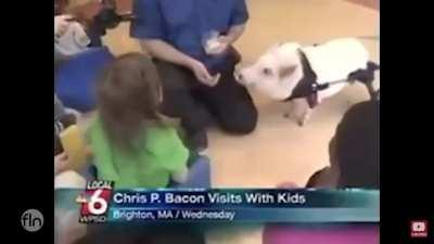 Naming A Pig Something Funny