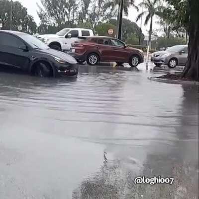 Summoning a tesla in a flooded area