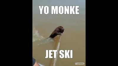 MONKE JET SKI MONKE JET SKI