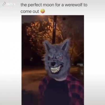 Werewolf🐺irl