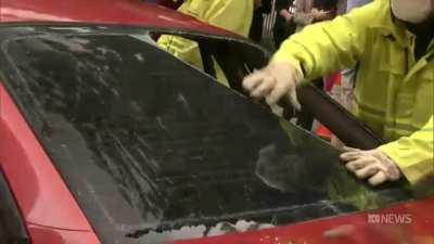 Gender reveal car burnout results in car getting publicly chopped up.