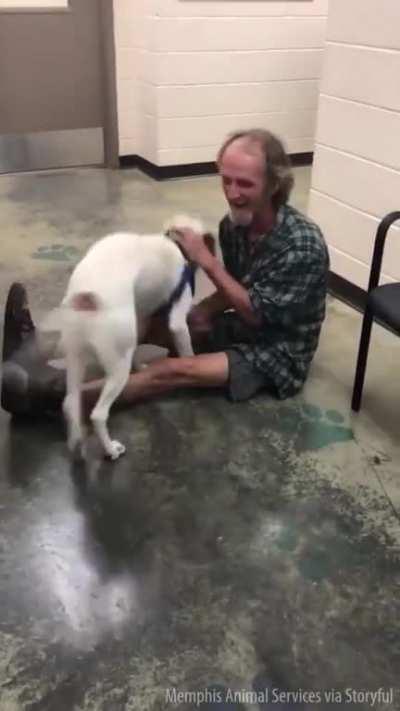 Homeless man reunited with his dog at animal shelter