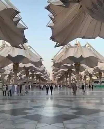 Every year whenever we go to makkah or madina these umbrellas always amaze me