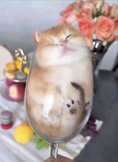 A glass of fluffy won't hurt anyone today