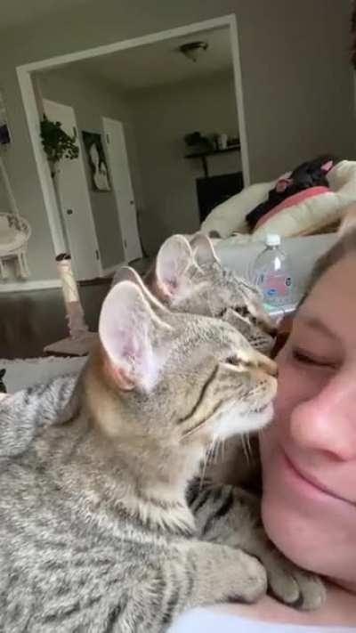 Anytime I Sit Or Lay Down They Come Lay On My Chest anytime-i-sit-or-lay-down-they-come-lay-on-my-chest