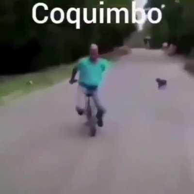 Coquimnbo